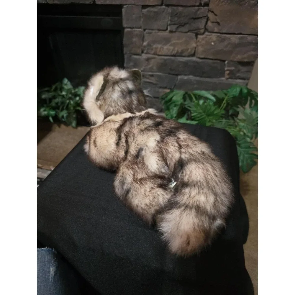 Ricky The Maine Coon | 16 Inch Stuffed Animal Plush | By TigerHart Toys